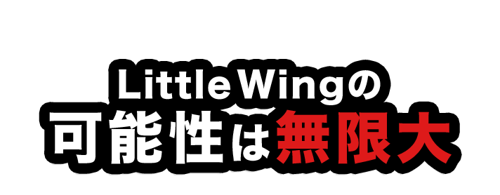 Little Wingの可能性は無限大